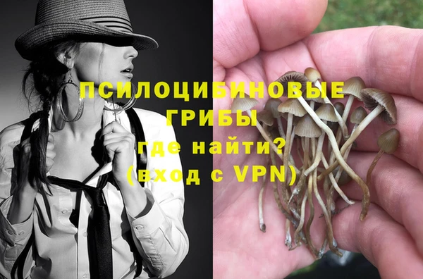 гидропоника Балахна