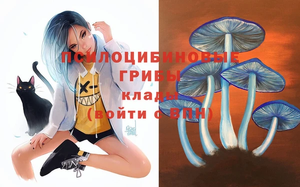 гидропоника Балахна