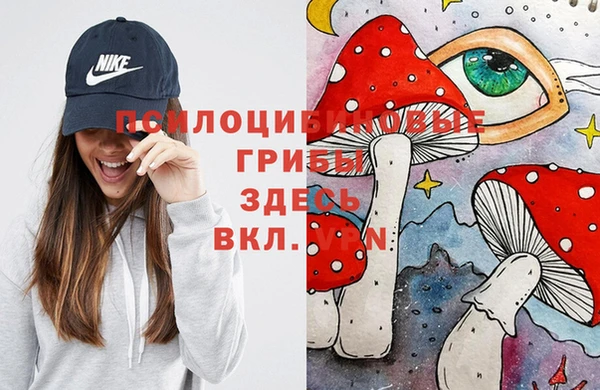 гидропоника Балахна