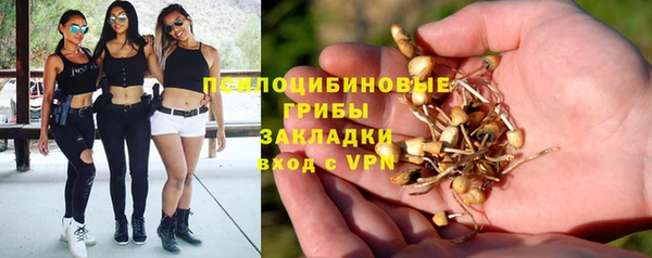 ешки Баксан